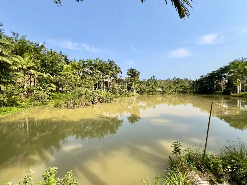 Sítio em Minas, Ilhota